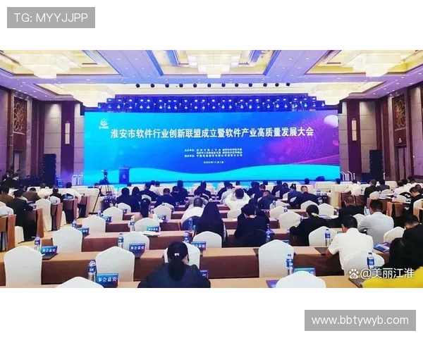 多宝视讯公司所在地区的行业环境及对行业发展的影响分析